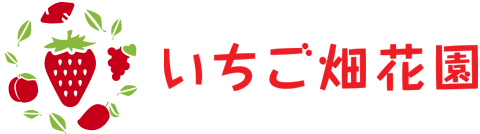 いちご畑花園